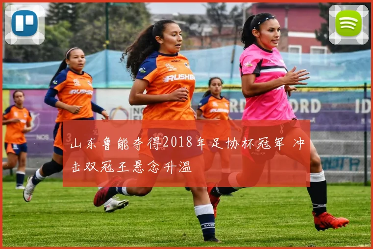 山东鲁能夺得2018年足协杯冠军 冲击双冠王悬念升温